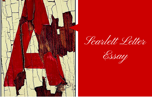 My writing process essay image